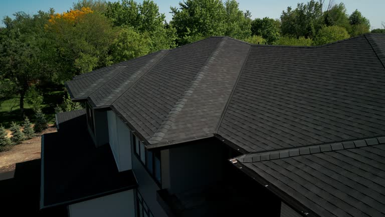 Best Solar Panel Roofing Installation  in Lone Star, TX