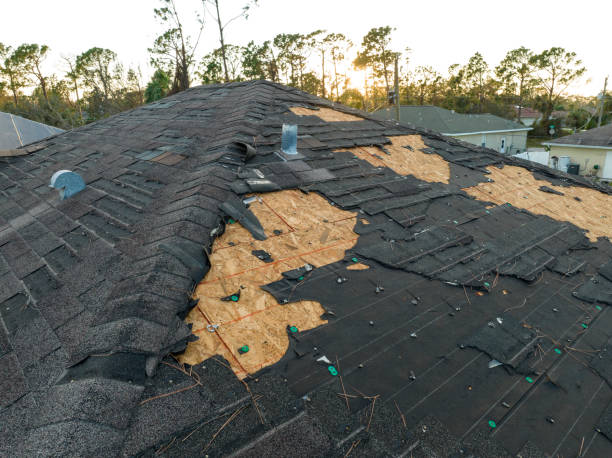 Best Storm Damage Roof Repair  in Lone Star, TX